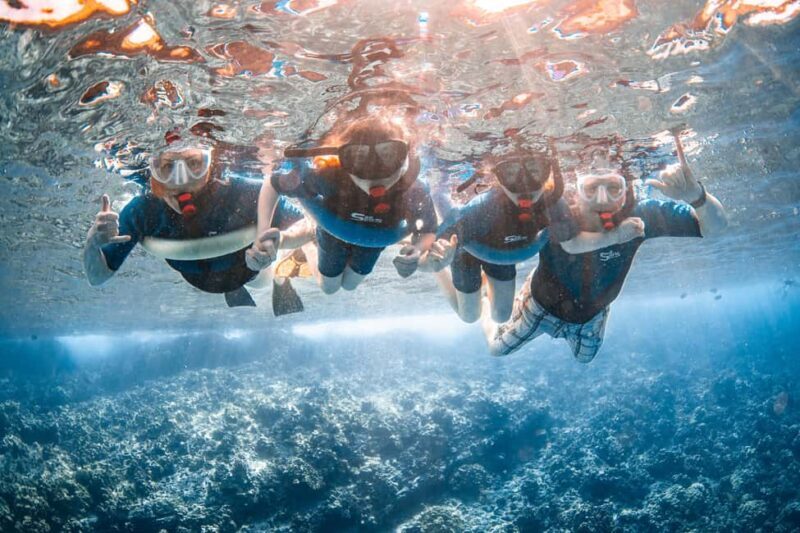 From Kihei: Molokini Snorkel 2-Hour Adventure - Who Should Consider This Tour?