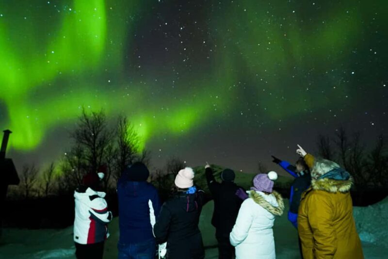 From Kiruna: Abisko National Park Northern Lights Tour - Key Points