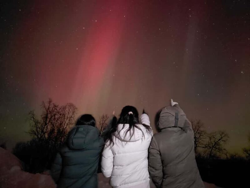 From Kiruna: Abisko National Park Northern Lights Tour - Who Is This Tour Best For?