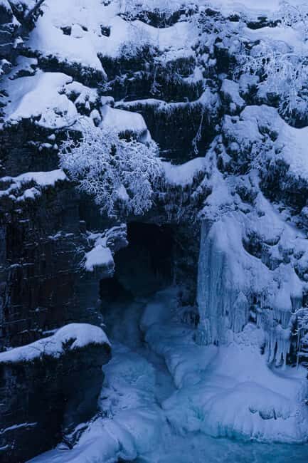 From Kiruna: Explore Abisko by Day - The Price and Value