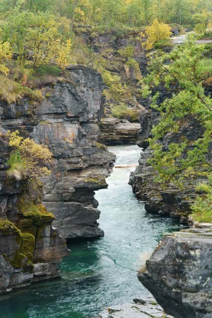 From Kiruna: Explore Abisko by Day - Who Is This Tour Best For?