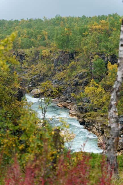 From Kiruna: Explore Abisko by Day - Final Thoughts