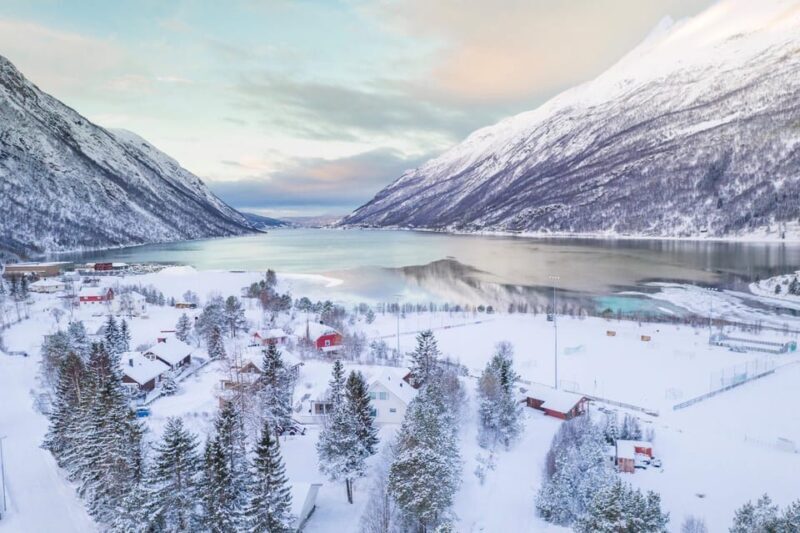 From Kiruna: Narvik City and Fjord Day Trip - Final Thoughts