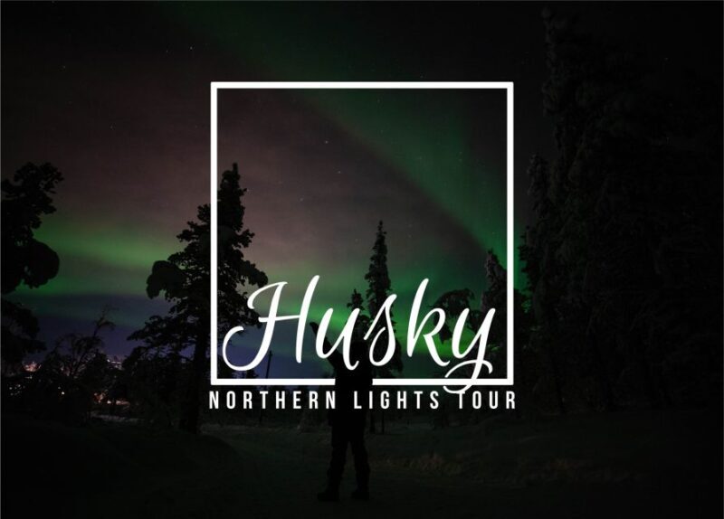 From Kiruna: Northern Lights Guided Husky Sledding Adventure - Key Points