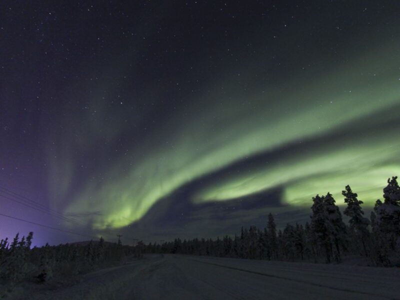 From Kiruna: Northern Lights Guided Husky Sledding Adventure - What to Expect from This Husky Sledding Tour