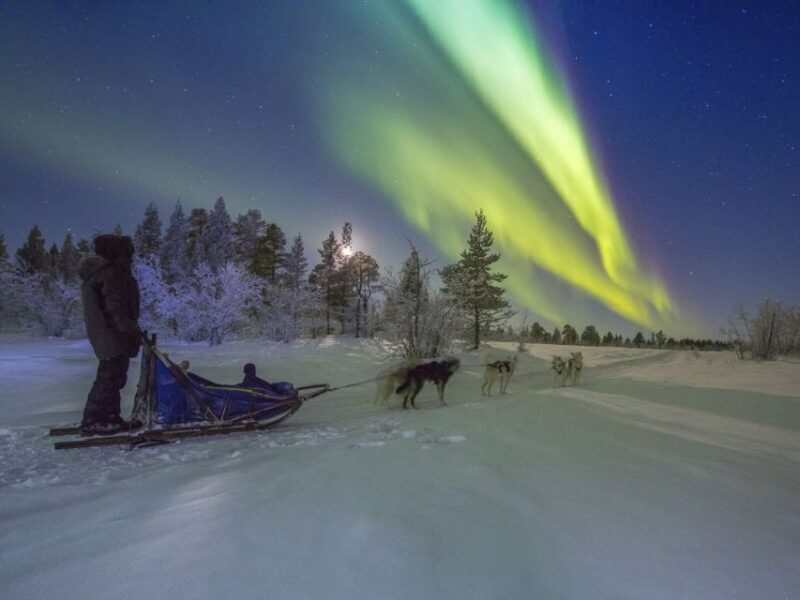 From Kiruna: Northern Lights Guided Husky Sledding Adventure - Who Is This Tour Best For?