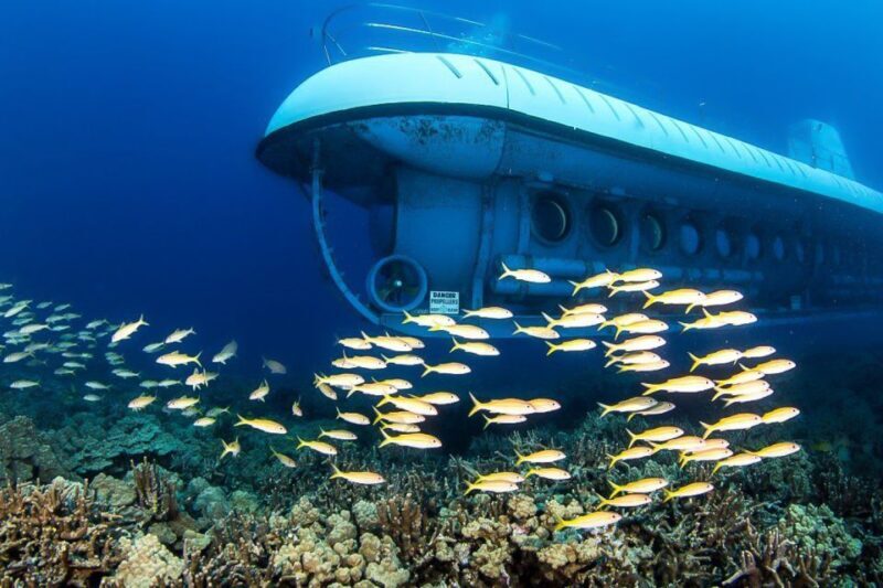 From Kona: Big Island Underwater Submarine Adventure - Who Should Consider This Tour?