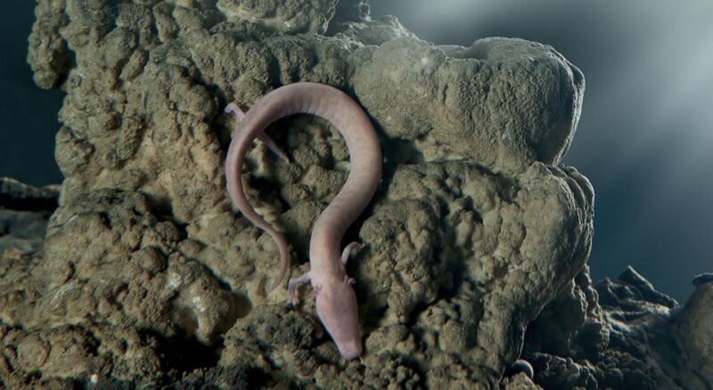 From Koper: Postojna Cave and Predjama Castle Tour - Final Thoughts