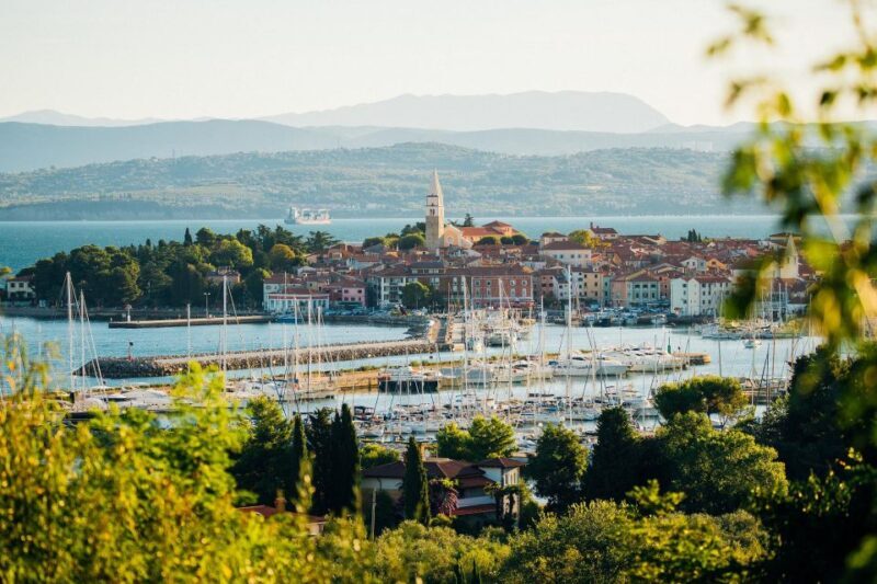 From Koper: Slovenian Riviera Bus Tour with Food Tastings - Who Will Love This Tour?