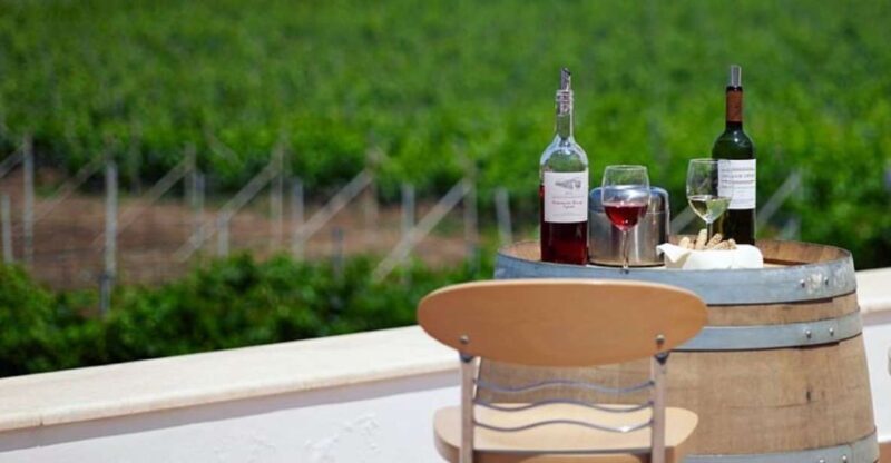 From Kos: Tour of 2 Wineries with Wine Tasting & Small Bites - Who Will Enjoy This Tour?