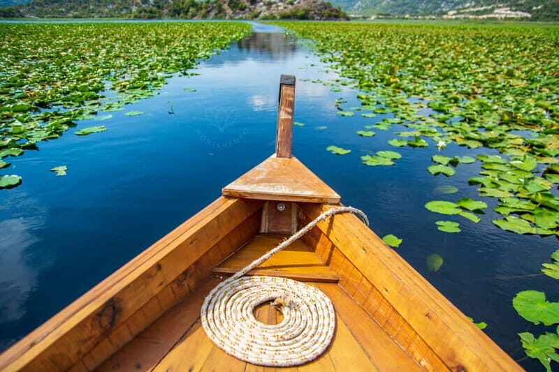From Kotor, Budva, Tivat: Skadar Lake Boat Tour & Wine - A Detailed Look at the Tour Experience