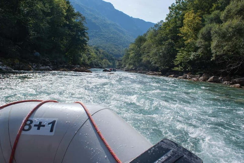 From Kotor: Montenegro Tara Rafting - A Deep Dive into the Montenegro Tara Rafting Tour