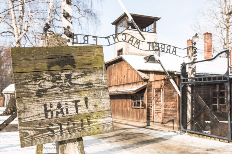From Krakow: Auschwitz and Wieliczka Salt Mine Full-Day Trip - What to Expect from the Tour