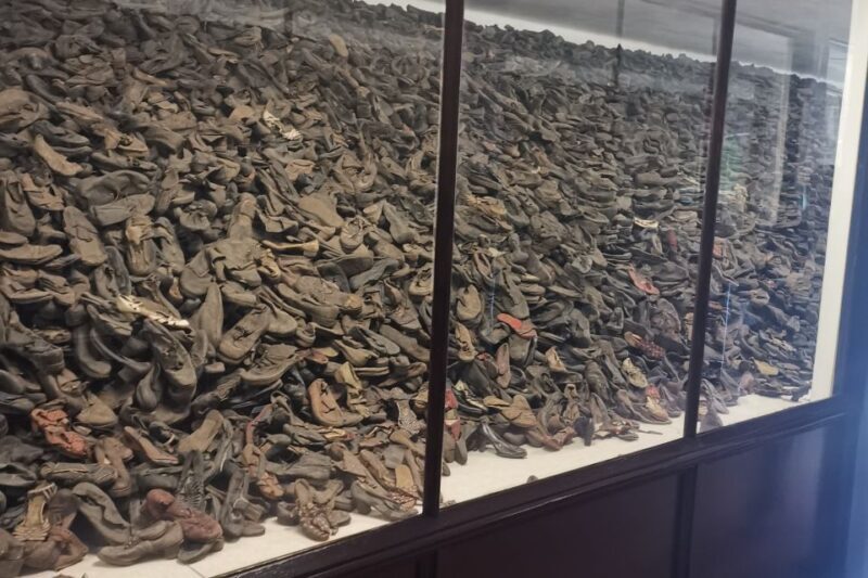 From Krakow: Auschwitz-Birkenau Camp Complex Guided Day Trip - Who Is This Tour Best For?