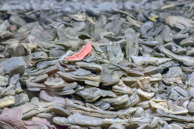 From Krakow: Auschwitz-Birkenau Full-Day Guided Tour - Guided Time at Birkenau: How You Get Meaning from the Layout