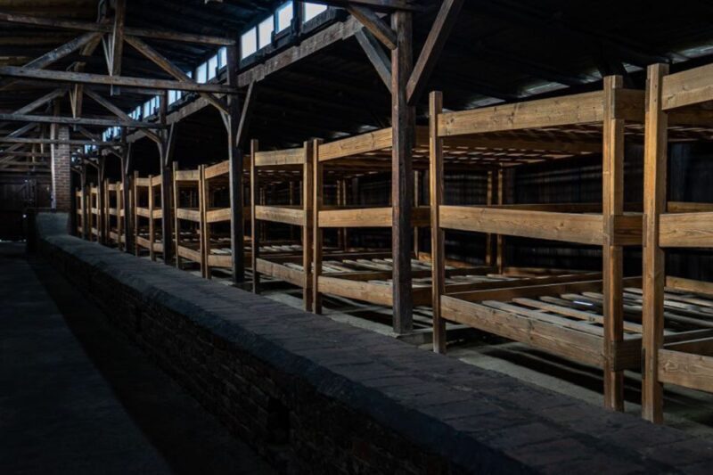 From Krakow: Auschwitz-Birkenau Full-Day Tour - Who Should Consider This Tour?
