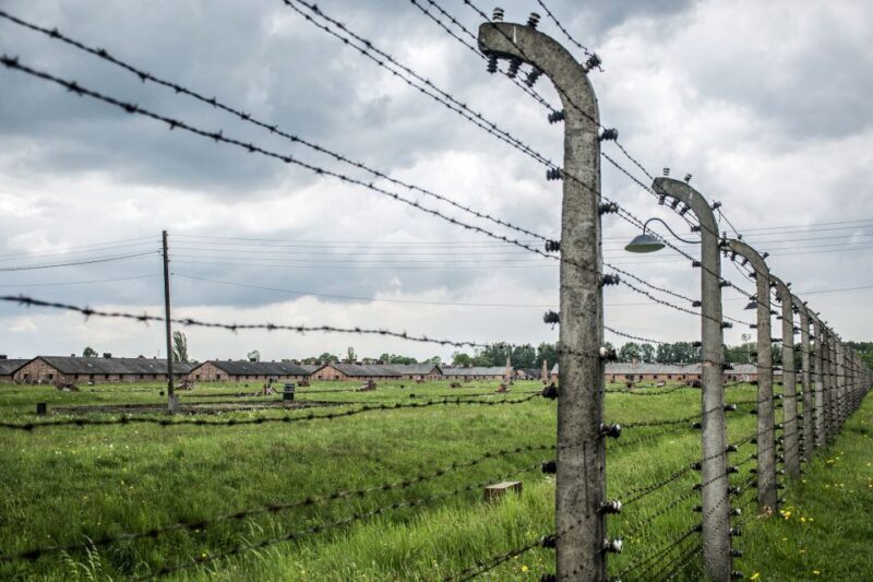 From Krakow: Auschwitz-Birkenau Guided Tour & Hotel Pickup - Who Is This Tour Best Suited For?