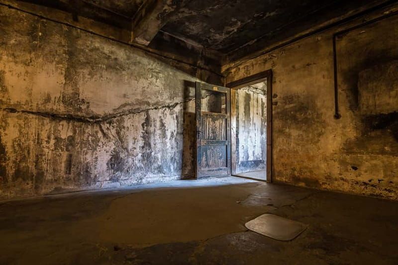 From Krakow: Auschwitz-Birkenau Guided Tour & Pickup - How the tour leader supports you (and where they might not)