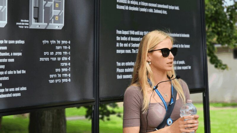 From Krakow: Auschwitz-Birkenau Guided Tour, Several Options - Key Points