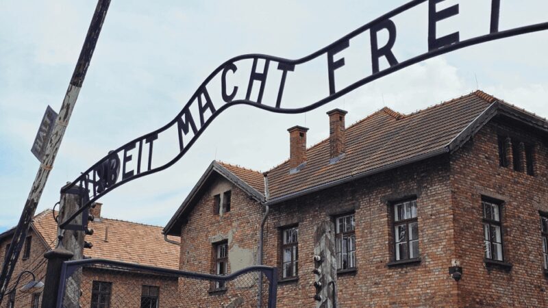 From Krakow: Auschwitz-Birkenau Guided Tour, Several Options - Why It’s a Good Deal