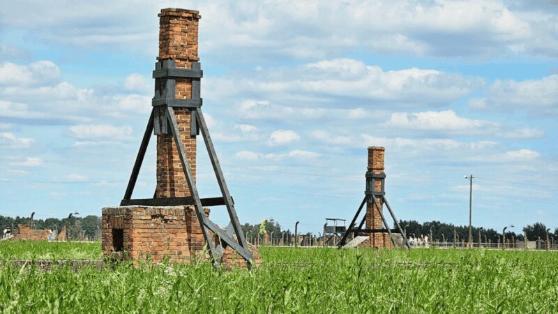 From Krakow: Auschwitz-Birkenau Guided Tour, Several Options - What Travelers Say