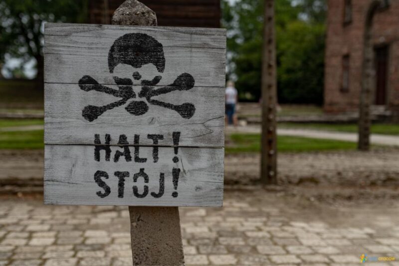 From Krakow: Auschwitz-Birkenau Guided Tour, Several Options - Who Should Book This Tour?