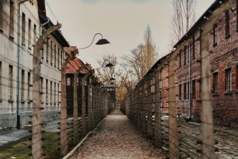 From Krakow: Auschwitz-Birkenau Guided Tour with Transport - Key Points