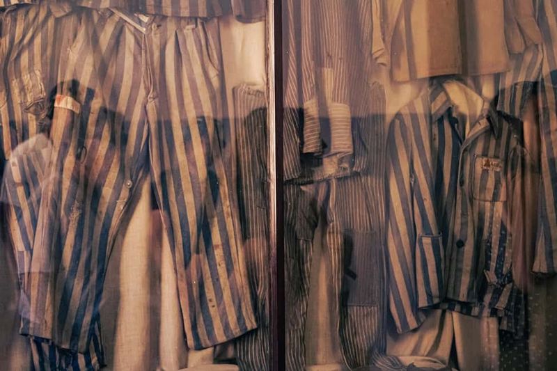 From Krakow: Auschwitz-Birkenau Live Guided Tour & Pickup - Bus Ride Reality Check: Comfortable Transport, and Then the Walking Starts