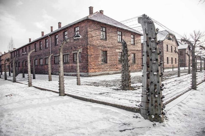 From Krakow: Auschwitz-Birkenau Memorial and Museum Tour - Key Points