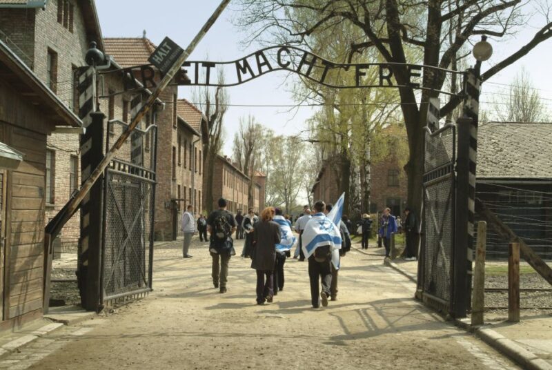 From Krakow: Auschwitz-Birkenau Memorial and Museum Tour - Who Should Consider This Tour