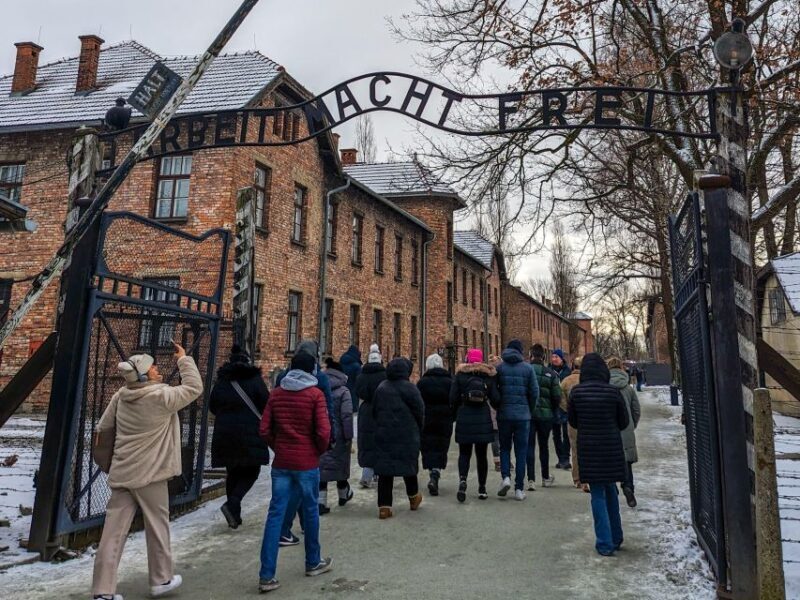 From Krakow: Auschwitz Birkenau Self-Guided Tour - Who This Tour Is Best For