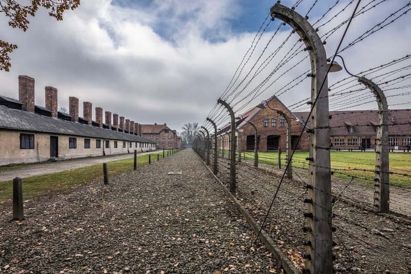 From Krakow: Auschwitz-Birkenau Tour with Transfer - The Guided Tour Experience