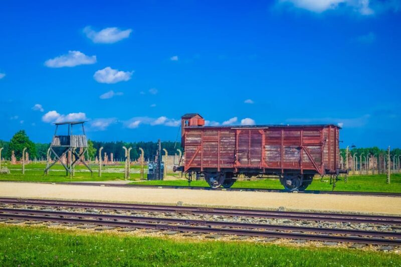 From Krakow: Auschwitz-Birkenau Tour with Transportation - Key Points