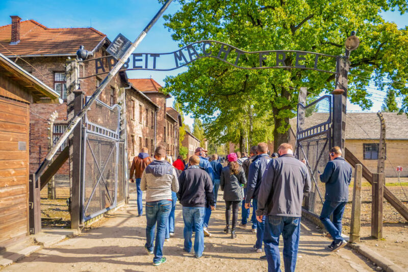From Krakow: Auschwitz-Birkenau Tour with Transportation - What to Expect on This Tour