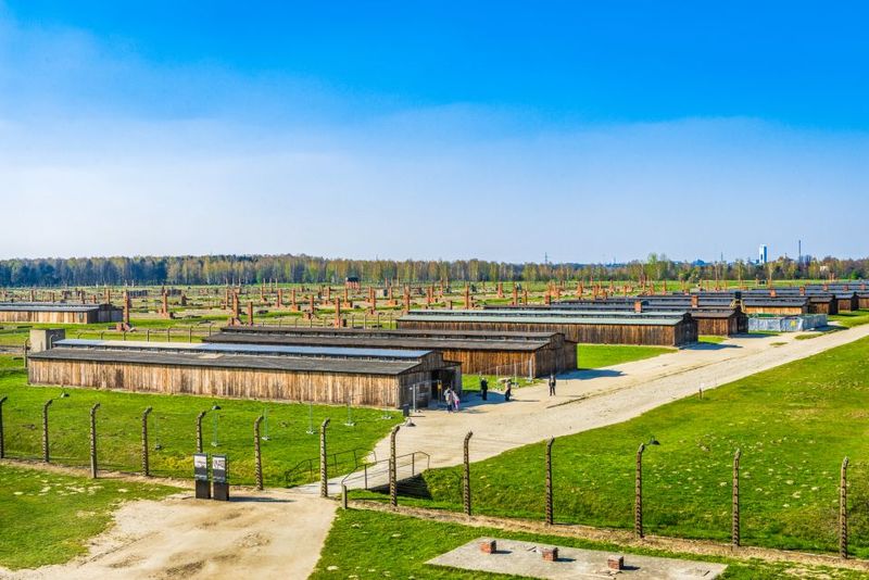 From Krakow: Auschwitz-Birkenau Tour with Transportation - Self-guided walking vs guided options: pick the learning style you want
