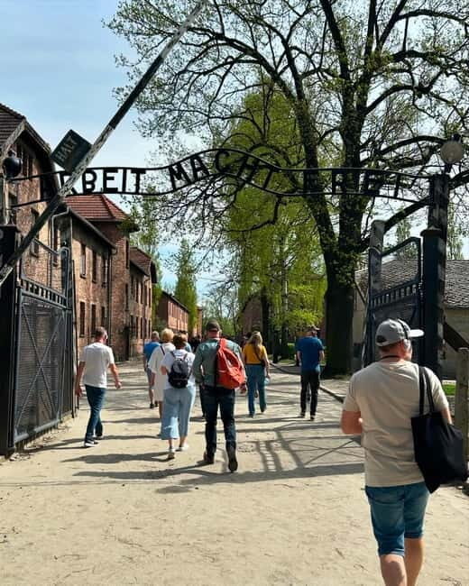 From Krakow: Auschwitz-Birkenau & Wieliczka Salt Mine Tour - Key Points