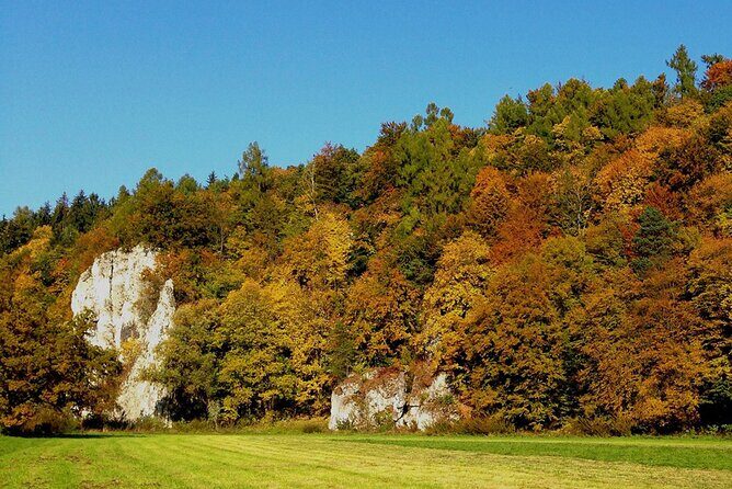 From Krakow: Ojcow National Park and Pieskowa Skala Castle - Discovering the Natural and Historic Treasures of Ojcow National Park