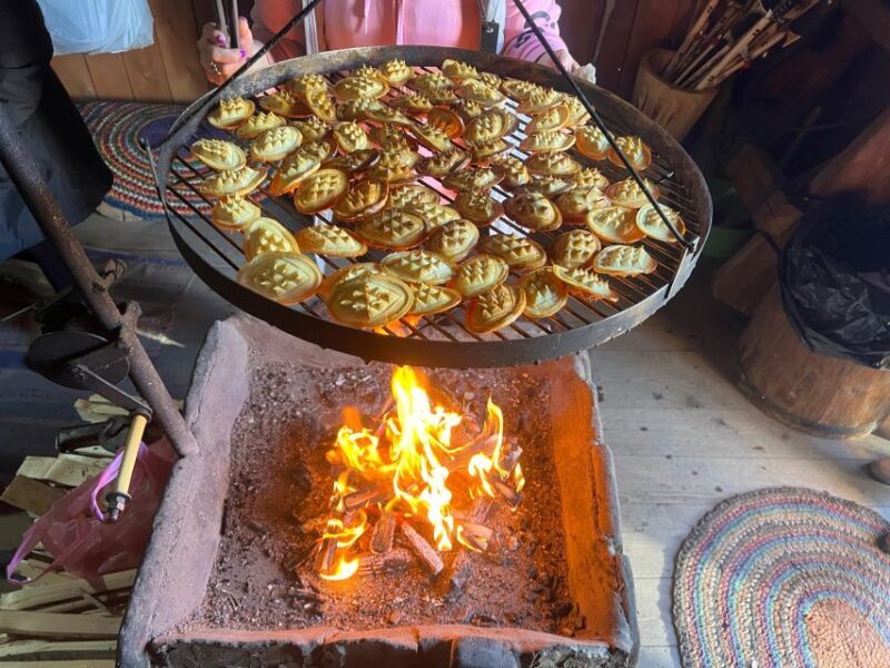 From Krakow: Private Trip Zakopane and Thermal Baths - Who Will Love This Tour?