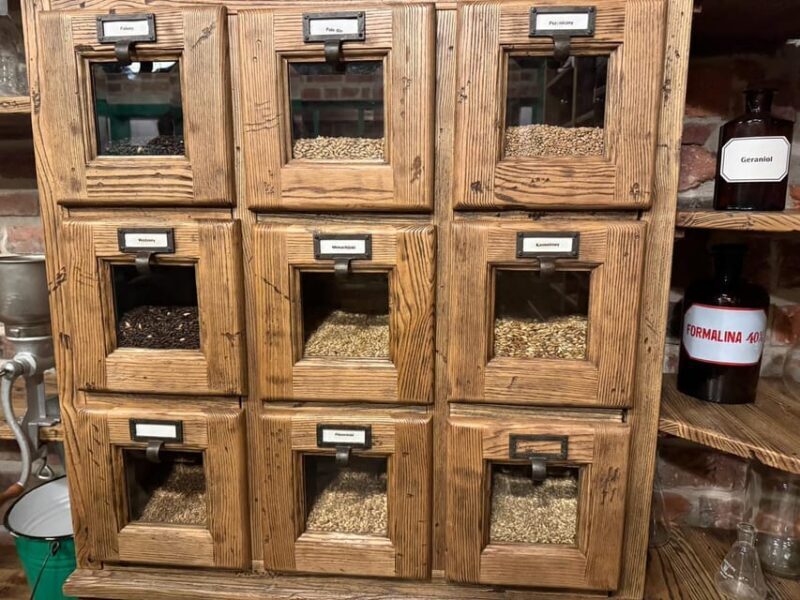 From Krakow: Pszczyna Castle and Bison Reserve Day Trip - Who This Tour Is Best For