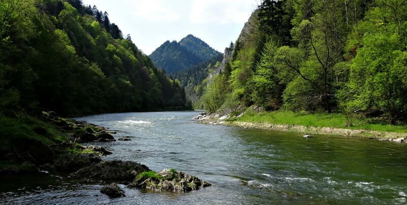 From Krakow: Rafting on Dunajec River Full-Day Trip - What to Expect from This Full-Day Rafting Adventure