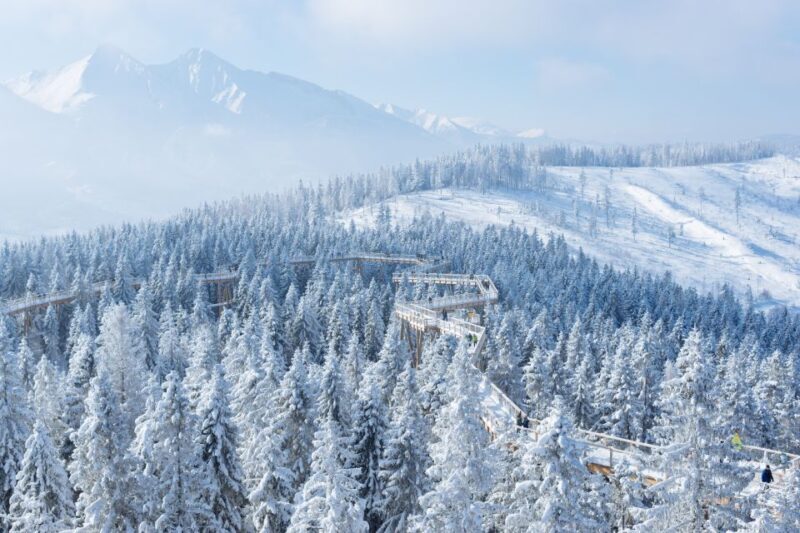 From Kraków: Slovakia Treetop Walk & 4-Hour Ski Pass - The Experience in Detail