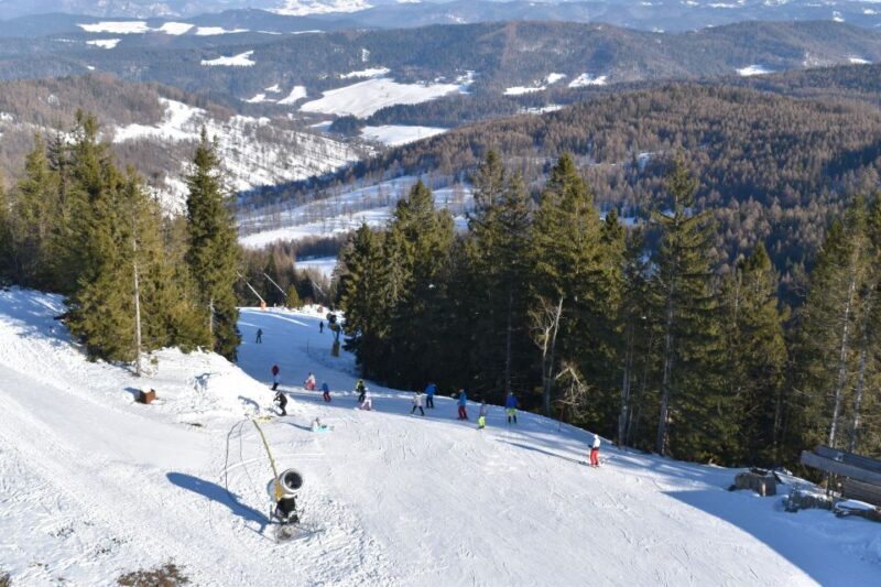 From Kraków: Slovakia Treetop Walk & 4-Hour Ski Pass - Who Would Love This Tour?