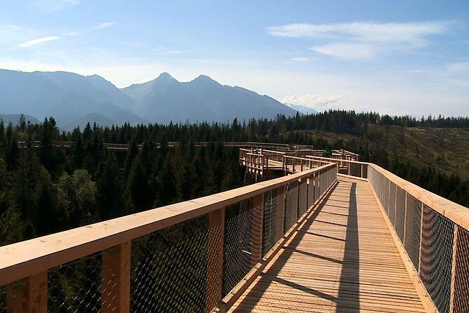 From Kraków: Slovakia Treetop Walk Bachledka and Zakopane - A Closer Look at the Tour Experience
