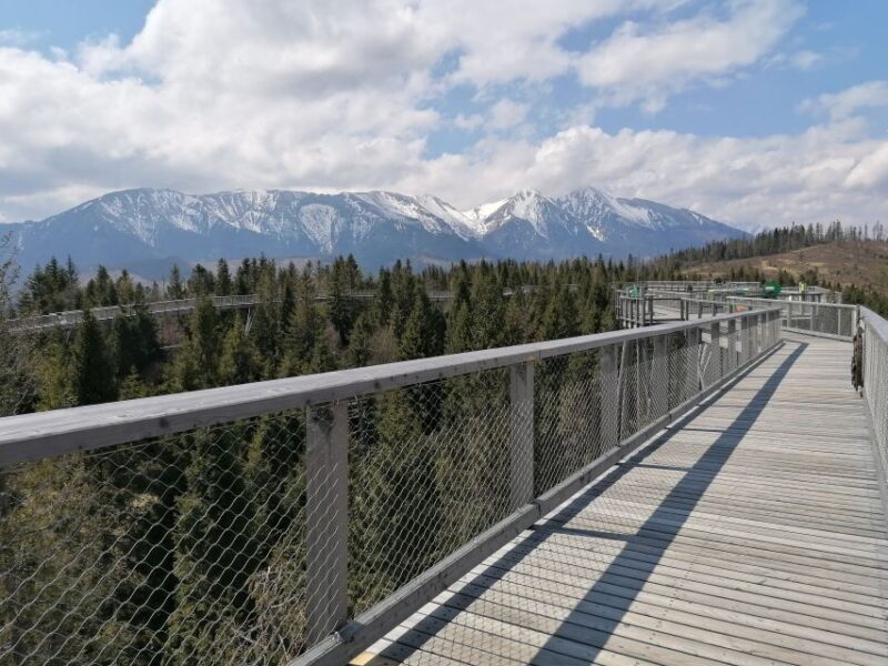 From Krakow: Treetop Walk & Zakopane Visit Small Group Tour - A Detailed Look at the Tour Experience