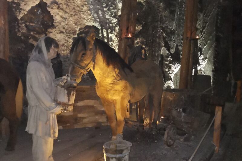 From Krakow: Wieliczka Salt Mine Tour in Italian - Is It Worth the Price?