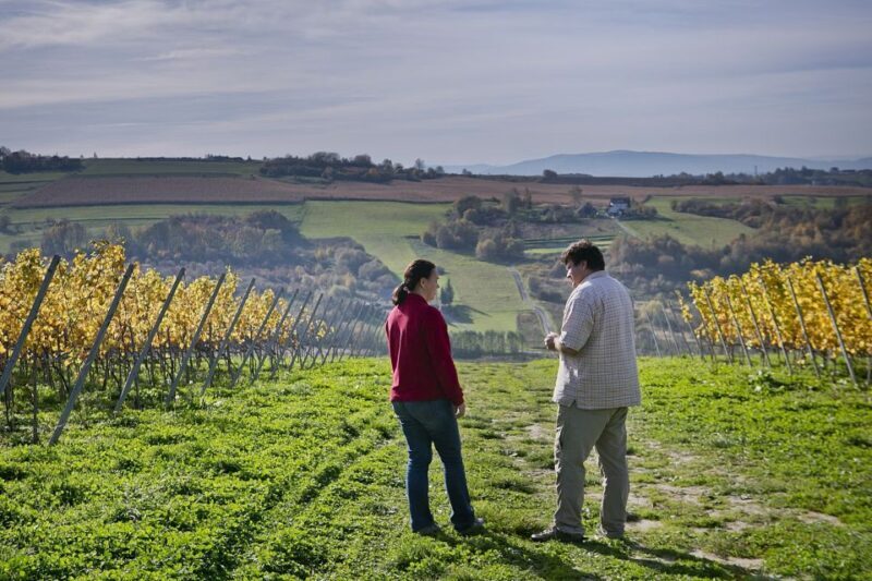 From Krakow: Wine Tasting at Vineyard - FAQ
