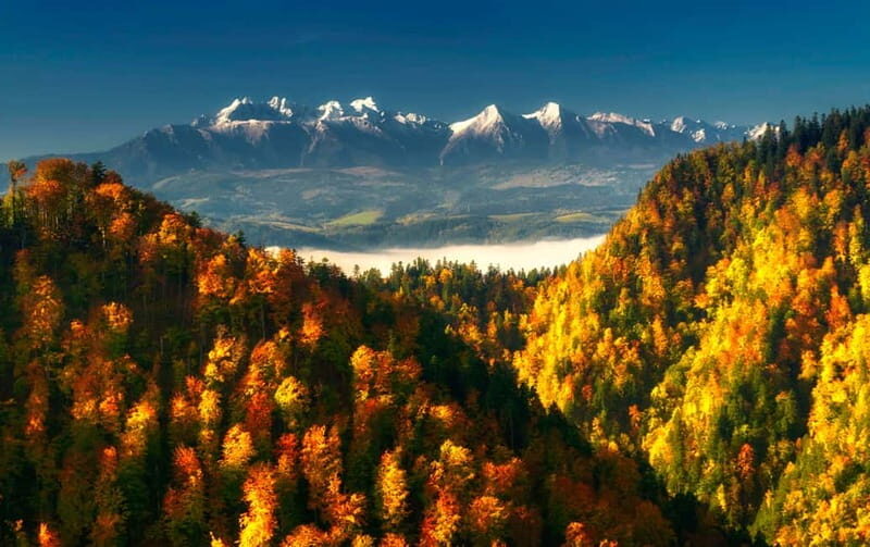 From Kraków: Witów Skiing and Zakopane Tour - What to Expect on the Tour