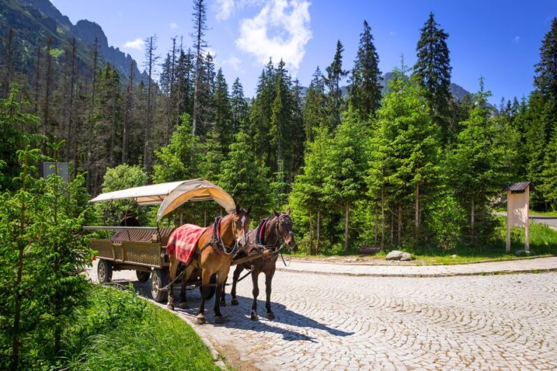 From Krakow: Zakopane and the Tatra Mountains Private Tour - An Introduction to the Tour