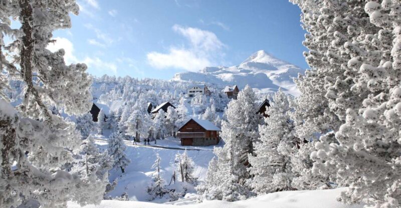 From Krakow: Zakopane and the Tatra Mountains Private Tour - The Experience of Transport and Logistics