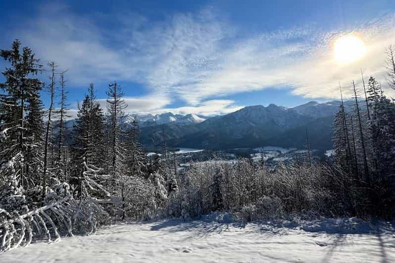 From Krakow: Zakopane Day Trip with Funicular & Food Tasting - Key Points